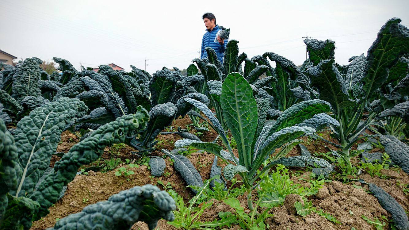 埼玉ヨーロッパ野菜研究会